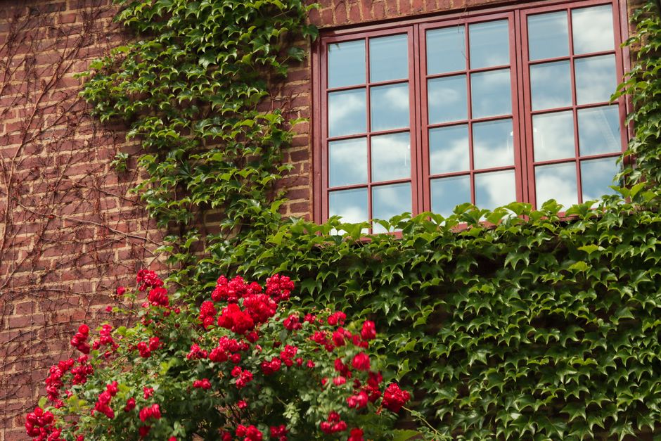 Beautiful home exterior showcasing newly installed vinyl windows